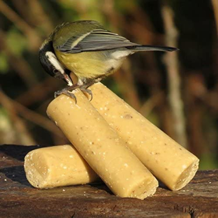 Energierollen Insekten 6-er Packung